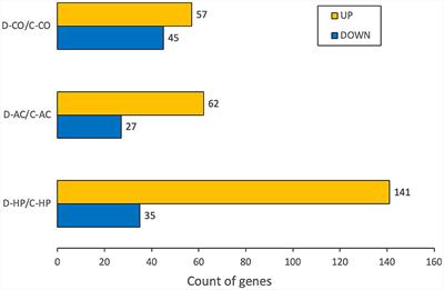 Transcriptomic analysis reveals prolonged neurodegeneration in the hippocampus of adult C57BL/6N mouse deafened by noise